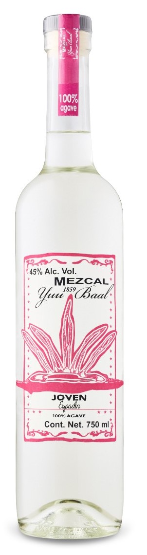Yuu Baal | Espadin Joven