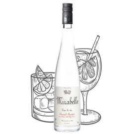 Briottet Eau de Vie de Mirabelle 