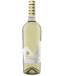 Collefrisio Falanghina IGT Terre di Chieti